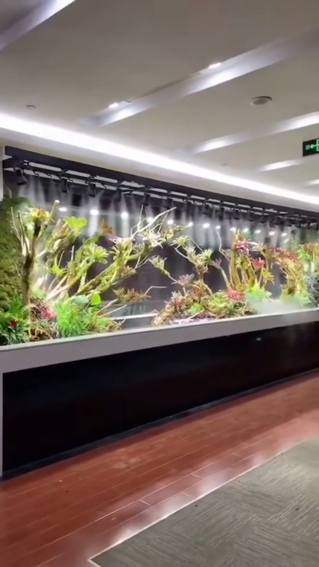 水族箱 微型海洋的藝術(shù)與科學(xué)