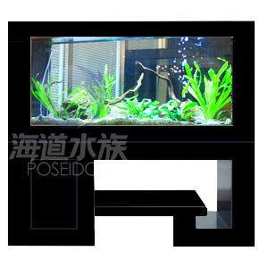 批發(fā)供應(yīng)玻璃魚缸、生態(tài)魚缸及新式簡約花架柜式魚缸——保定海道水族科技